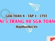 Giải bài 5 trang 80 Toán 8 Tập 1 SGK Chân trời sáng tạo